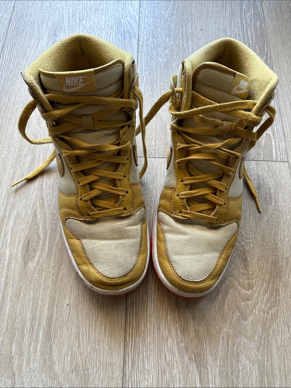 Nike Dunk Hi-Tops